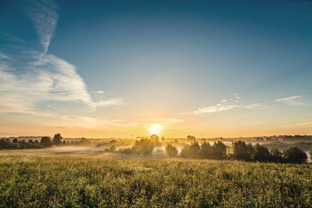 Wschód słońca nad zamgloną łąką i kępami drzew