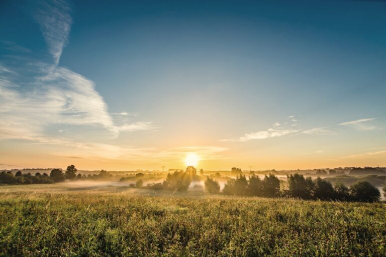 Wschód słońca nad zamgloną łąką i kępami drzew